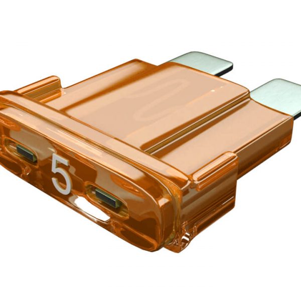 Product Renders Amp Fuse